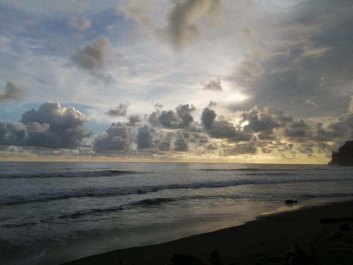 Bahia Ballena Loft Hotel Uvita Luaran gambar