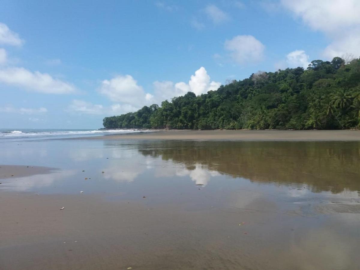 Bahia Ballena Loft Hotel Uvita Luaran gambar